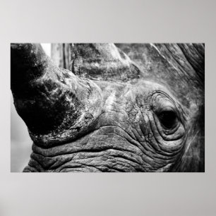 B&W Nashorn Poster