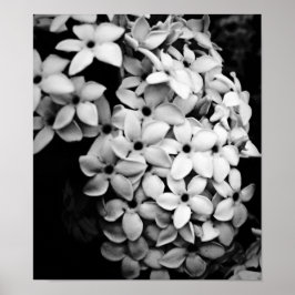 B&W POSTER