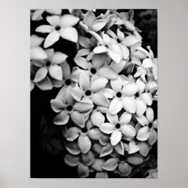 B&W POSTER