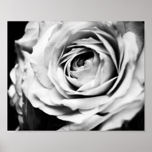 B&W Rose geschärft Poster