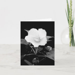 B&W Rosen-Malven-Raum-Anmerkungs-Karte Karte