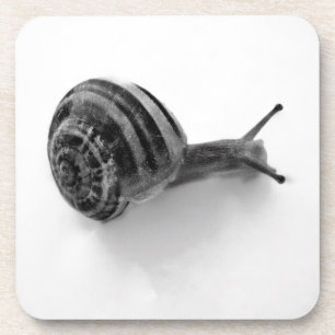 B&W snail Getränkeuntersetzer