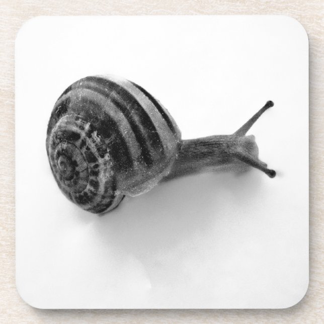 B&W snail Getränkeuntersetzer (Vorderseite)