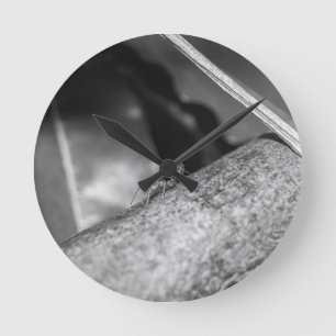 B&W - Weaver Ant on a Wood Runde Wanduhr
