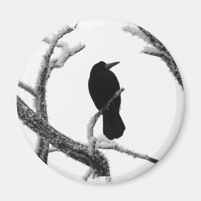 B&W Winter Raven Edgar Allan Poe Magnet (Vorne)