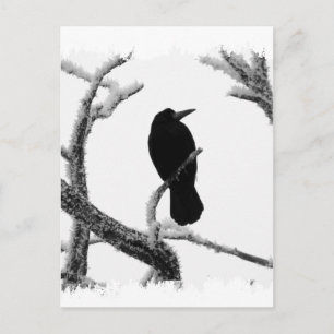 B&W Winter Raven Edgar Allan Poe Postkarte