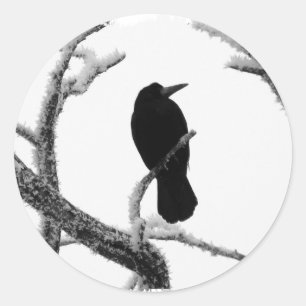 B&W Winter Raven Edgar Allan Poe Runder Aufkleber