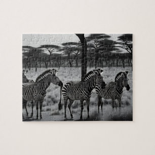 B W Zebra Oil Paint, Jigsaw Puzzle