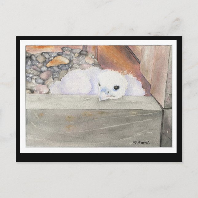 B. Weaver Orion Design Postkarte (Vorderseite)