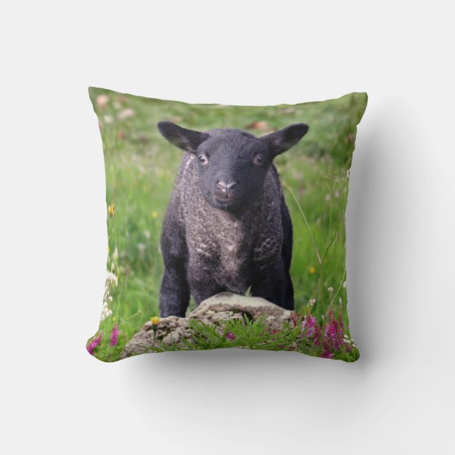Baa Baa Black Sheep Pillow Kissen (Vorderseite)