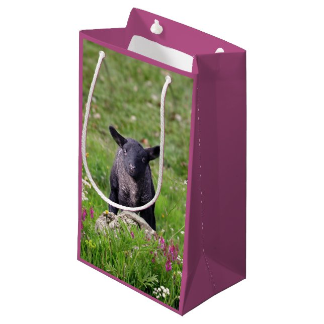 Baa Baa Schwarzes Schaf Geschenktüte (Vorderseite Schrägansicht)