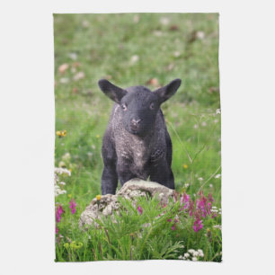 Baa Black Sheep Küchentuch
