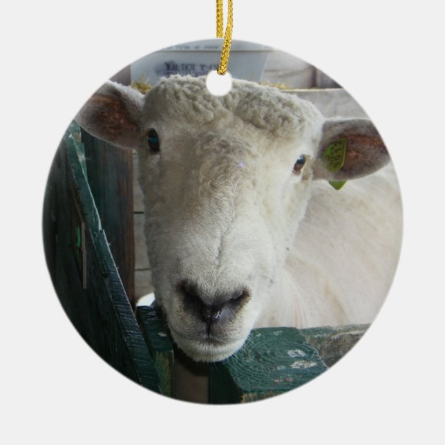 BAAAAAAAAAAAAAAAAAA SHEEP ORNANATION KERAMIKORNAMENT (Vorne)