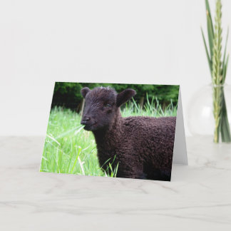 BaaBaa schwarze Schaf-Anmerkungs-Karte Karte