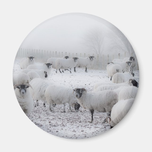 Baad Weather Magnet (Vorne)