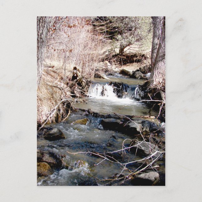 Babbling Brook Postkarte (Vorderseite)