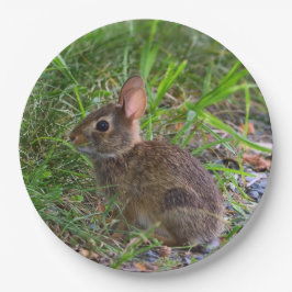 Babby Bunny Paper Plate Pappteller