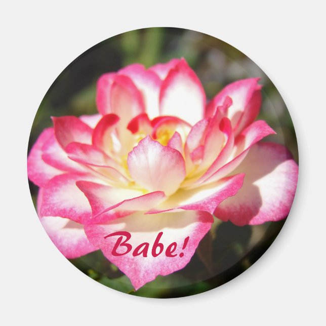 Babe! Magnet Geschenke Rosa Blume Floral (Vorne)