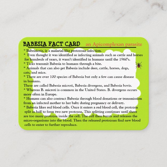 Babesia Fact Educational Card Visitenkarte (Vorderseite)