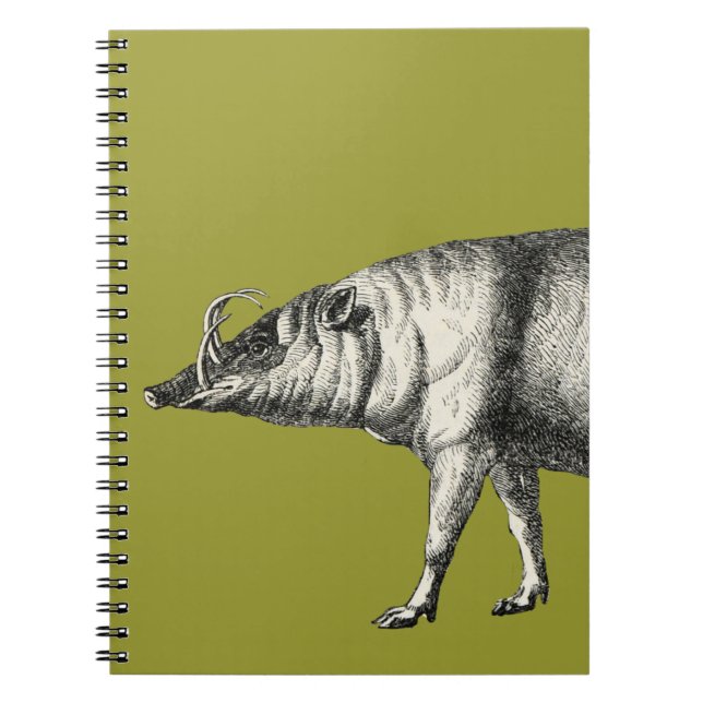 Babirusa-wildes Schwein-Eber-Schwein Warthog Notizblock (Vorderseite)