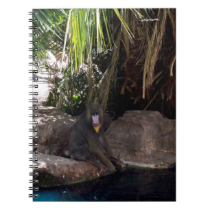 Baboon im Paradies, Notebook Notizblock