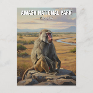Baboon in Awash Nationalpark Äthiopien Reisen Postkarte