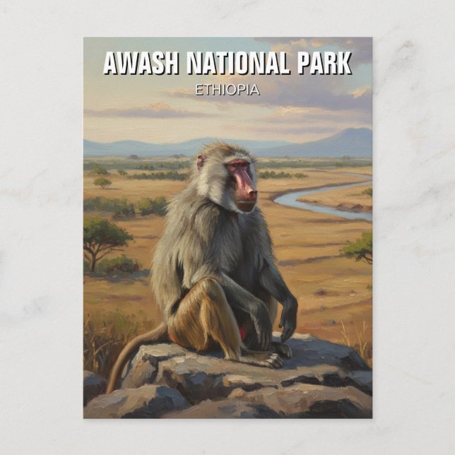 Baboon in Awash Nationalpark Äthiopien Reisen Postkarte (Vorderseite)