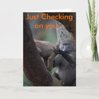 Baboon Inspection, nur auf Sie prüfen.. Karte