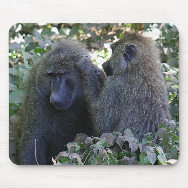 Baboon Mousepad (Vorne)