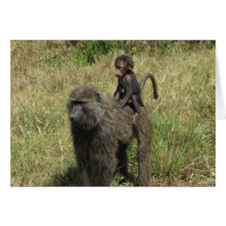 Baboon Mutter und Baby