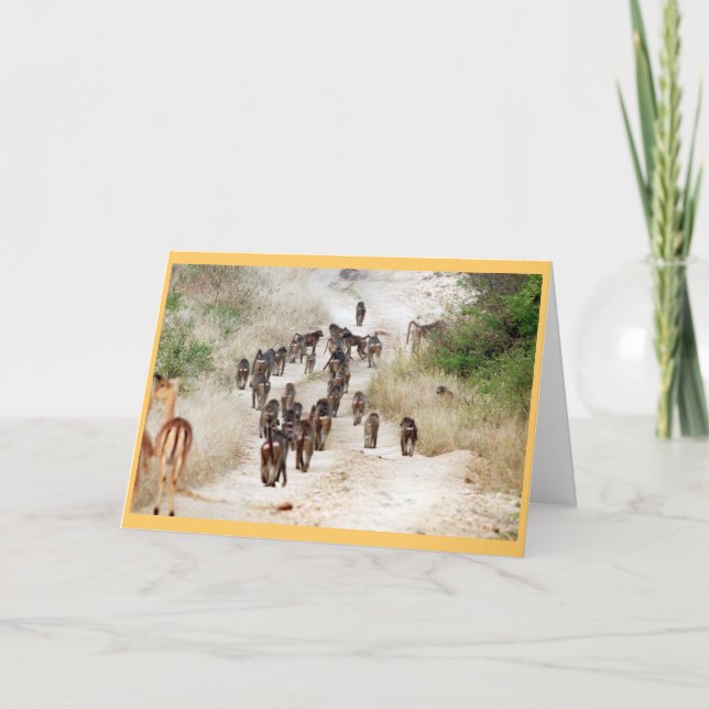 Baboon Rush Hour Karte (Vorderseite)