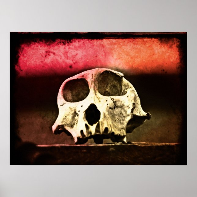 Baboon Skull Sunset Art Poster (Vorne)