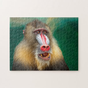 Baboons von Botswana