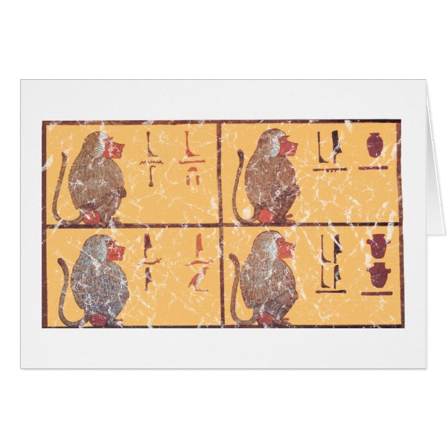 babouins (Devant horizontal)