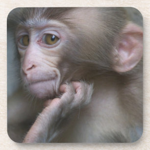 Baby-Affe Getränkeuntersetzer