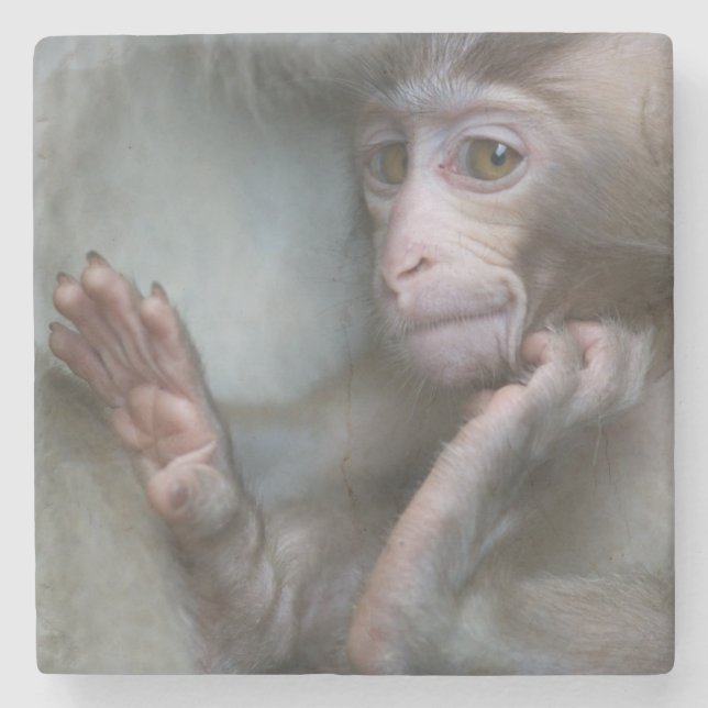 Baby-Affe Steinuntersetzer (Vorderseite)