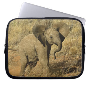Baby African Elephant, Loxodonta Africana, Laptopschutzhülle