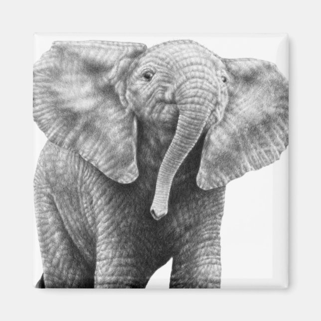 Baby African Elephant Magnet (Devant)