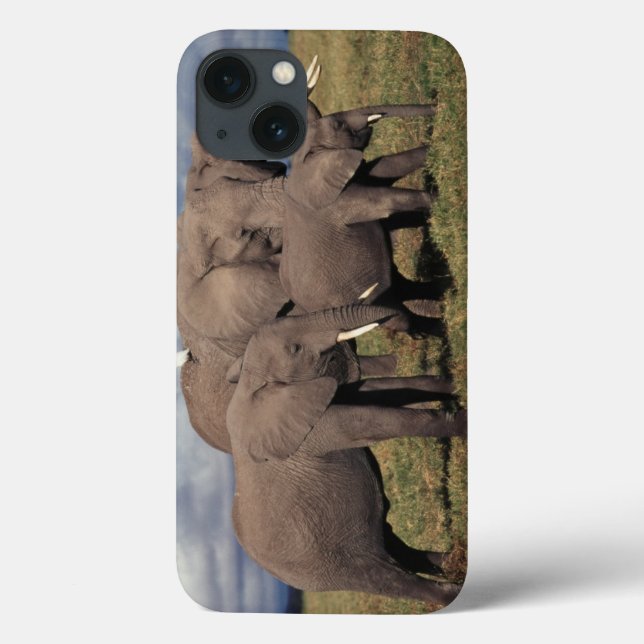 Baby African Elephant mit Familie Case-Mate iPhone Hülle (Rückseite)