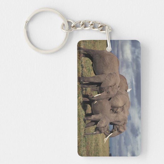 Baby African Elephant mit Familie Schlüsselanhänger (Vorderseite)