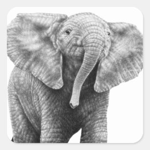 Baby-afrikanischer Elefant-Aufkleber Quadratischer Aufkleber