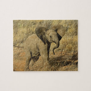 Baby Afrikanischer Elefant, Loxodonta Africana,