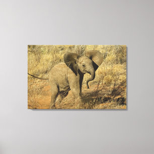 Baby Afrikanischer Elefant, Loxodonta Africana, Leinwanddruck