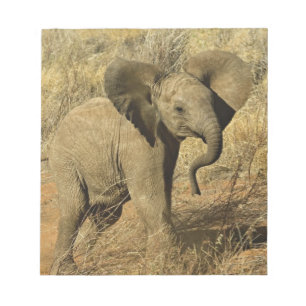 Baby Afrikanischer Elefant, Loxodonta Africana, Notizblock