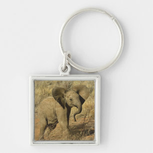Baby Afrikanischer Elefant, Loxodonta Africana, Schlüsselanhänger