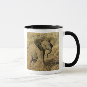 Baby Afrikanischer Elefant, Loxodonta Africana, Tasse