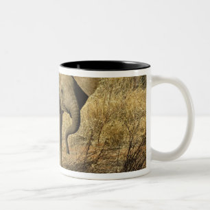 Baby Afrikanischer Elefant, Loxodonta Africana, Zweifarbige Tasse