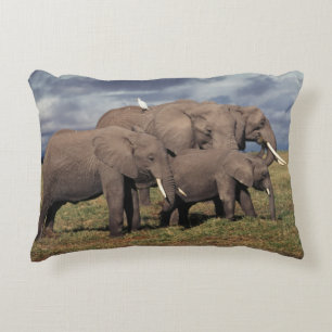 Baby Afrikanischer Elefant mit Familie Dekokissen