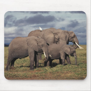 Baby Afrikanischer Elefant mit Familie Mousepad