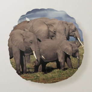 Baby Afrikanischer Elefant mit Familie Rundes Kissen